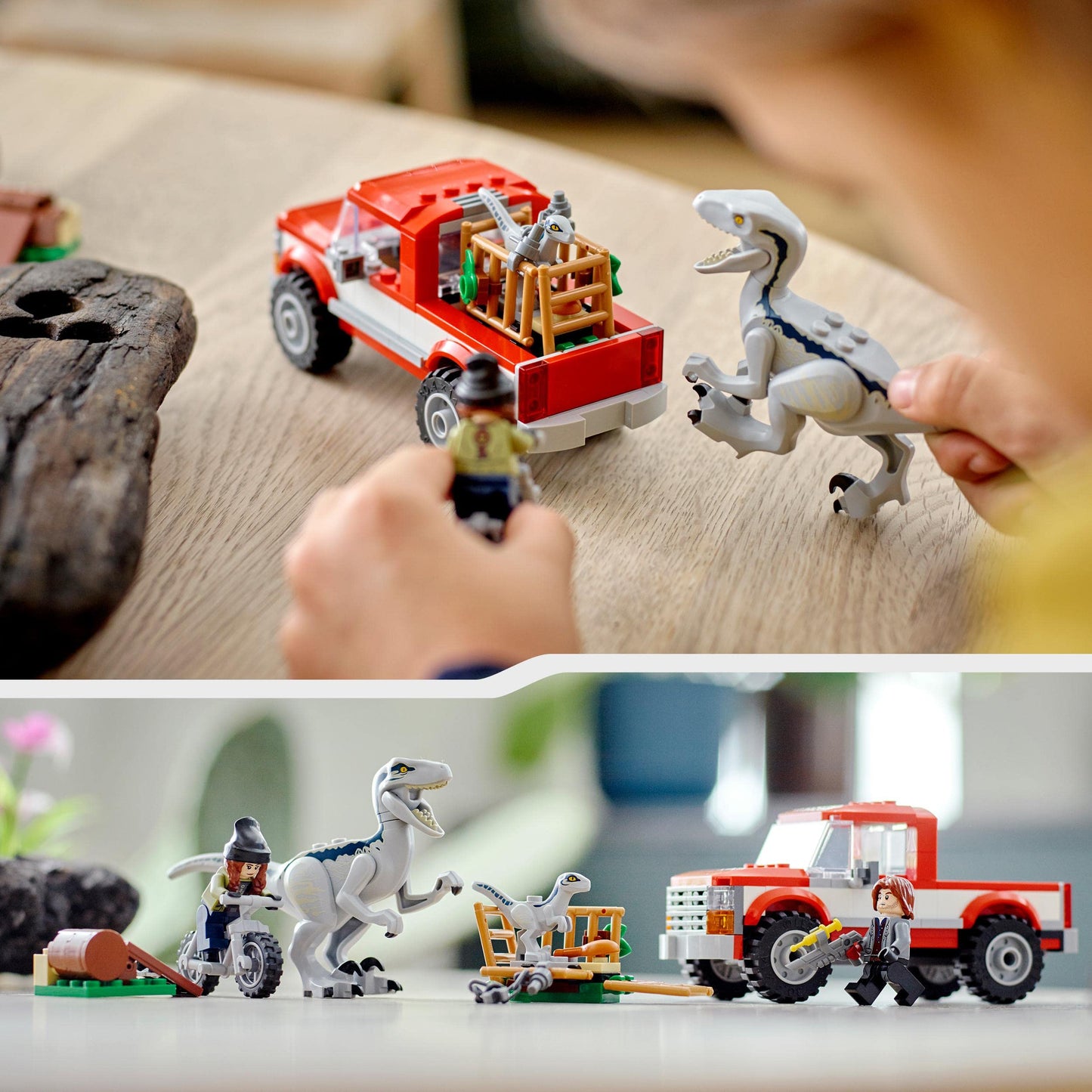LEGO 76946 Jurassic World Blue and Beta Velociraptor Capture with Truck and 2 Dinosaur Toys, Gifts For Boys & Girls, 2022 Dominion Movie Inspired Set