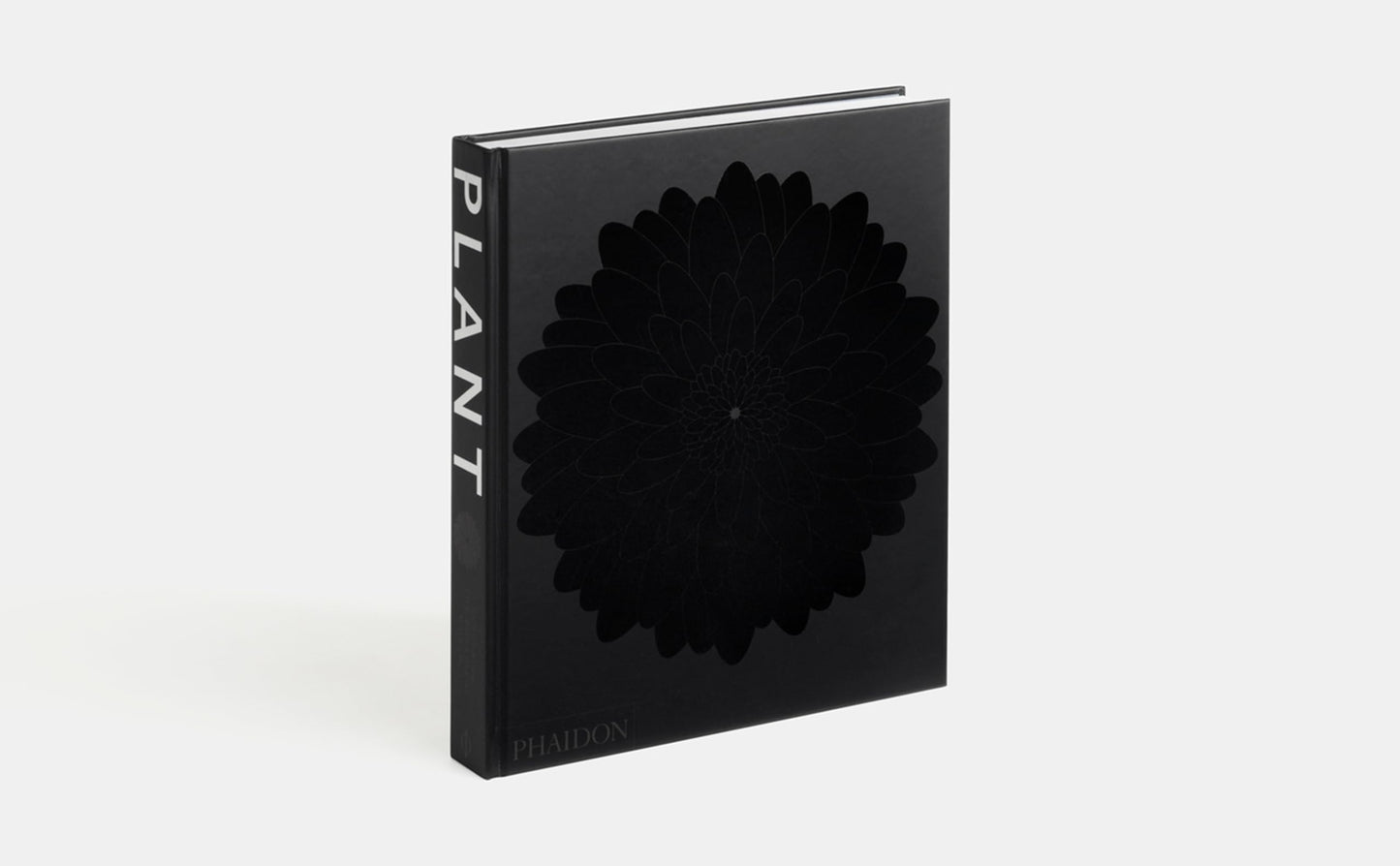 Plant: Exploring the Botanical World