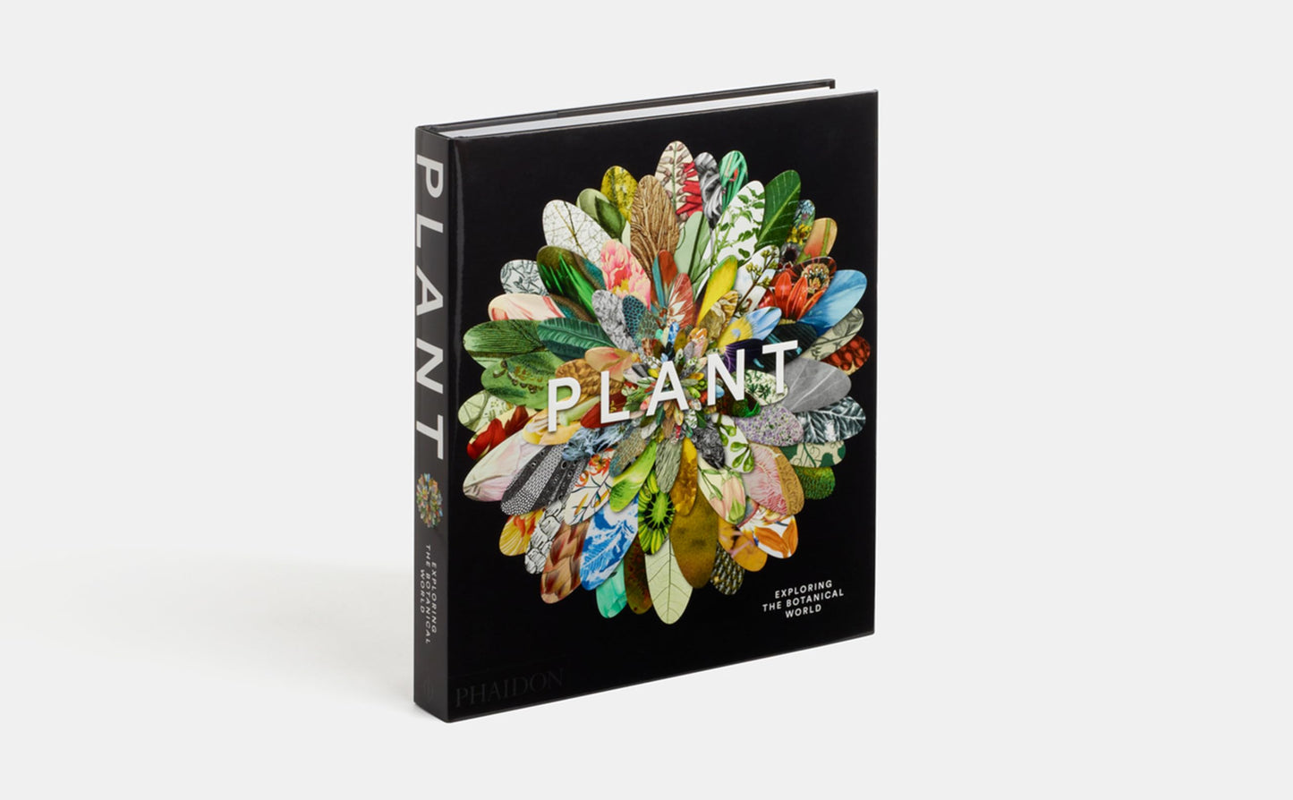 Plant: Exploring the Botanical World