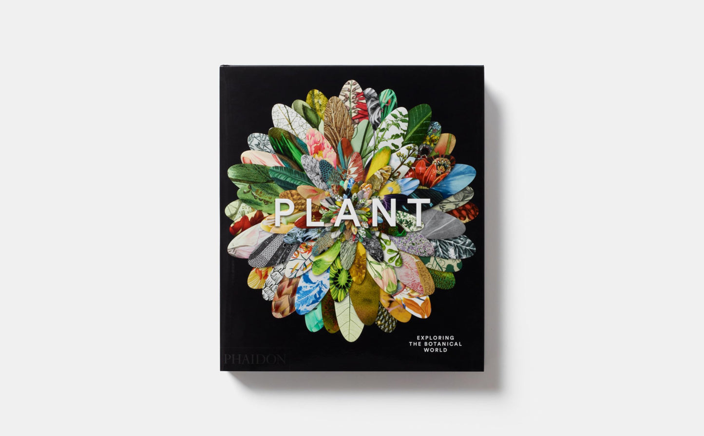 Plant: Exploring the Botanical World